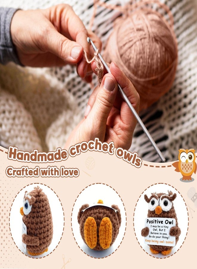 SGIBYN Positive Crochet Animals,Emotional Support Crochet Stuffed Plush Owl Gifts for Women Men Teens,Inspirational Gifts for Coworker Colleague Teacher Friend,Handmade Cute Mini Owl for Office Desk Decor - Image 5
